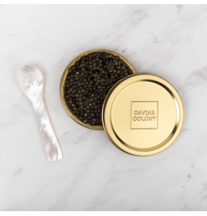 Kaluga Hybrid Caviar by Caviar Colony 30G *FREE Mother of Pearl Spoon*