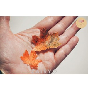 Edible Faux Orange Maple Leaf