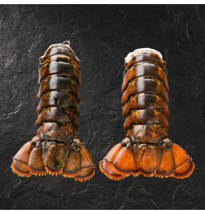 Wild Caught Raw Boston Lobster Tails
